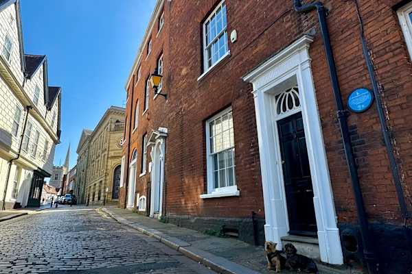 House sit in Norwich, United Kingdom