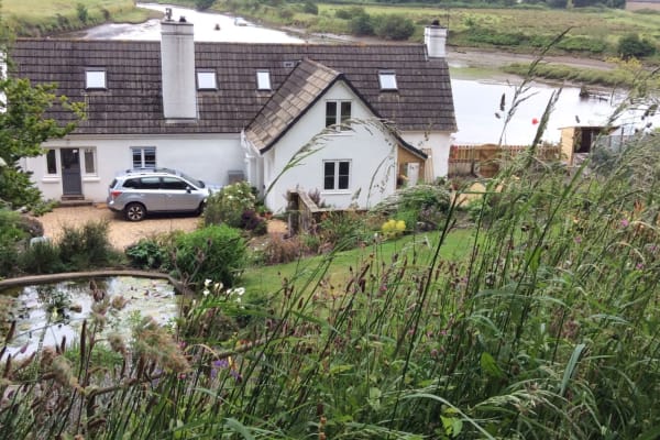 House sit in Aveton Gifford, United Kingdom