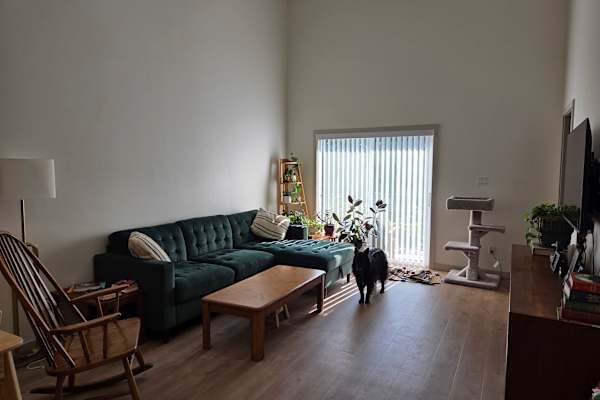 House sit in Victoria, BC, Canada