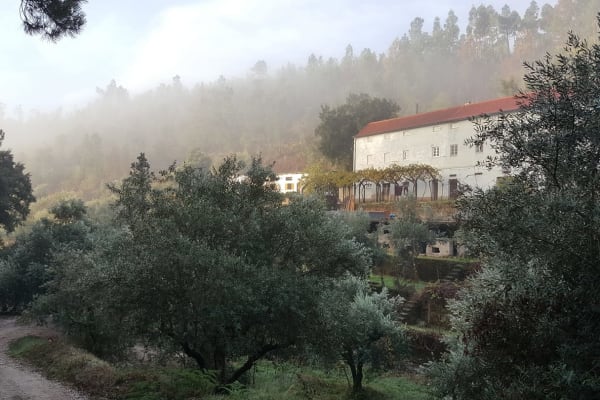 House sit in Sertã, Portugal