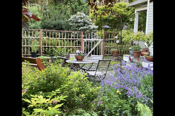 House sit in Port Townsend, WA, US