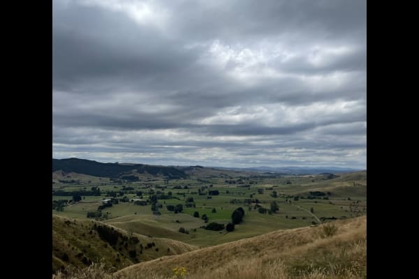 House sit in Huntly, New Zealand