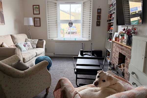 House sit in Ashburton, United Kingdom