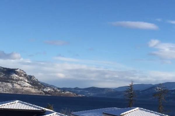 House sit in West Kelowna, BC, Canada