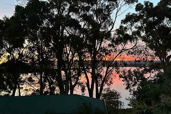 House sit in Launceston, TAS, Australia