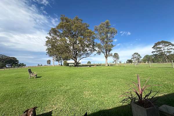 House sit in Nowra, NSW, Australia
