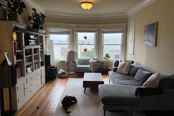 House sit in San Francisco, CA, US