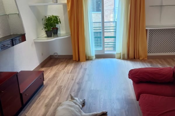 House sit in Madrid, Spain