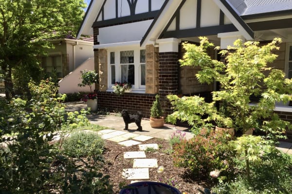 House sit in Adelaide, SA, Australia