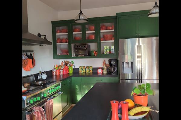 House sit in Berkeley, CA, US