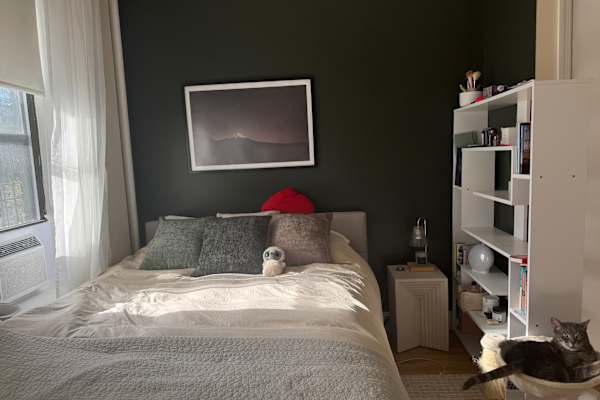 House sit in Brooklyn, NY, US