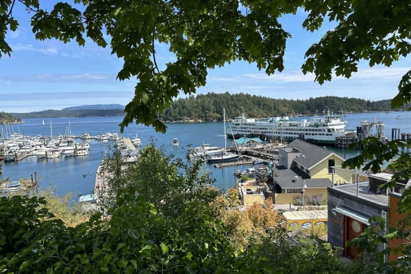 House sit in Friday Harbor, WA, US