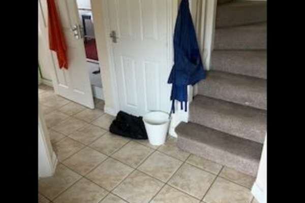 House sit in Shaftesbury, United Kingdom