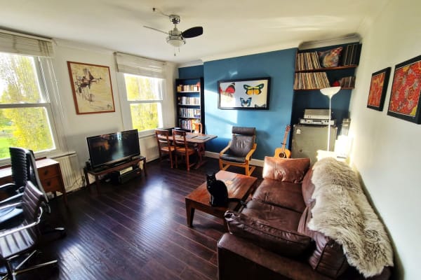 House sit in London, United Kingdom