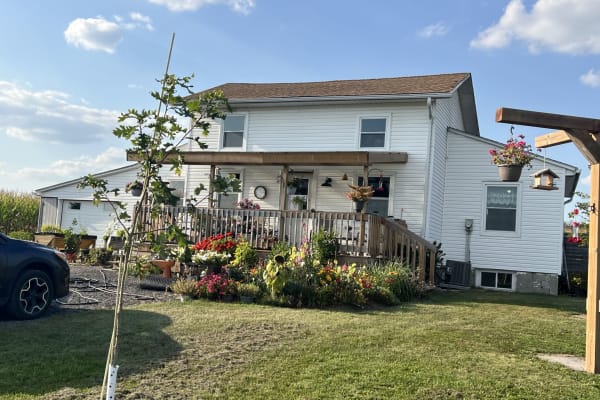 House sit in Bradford, ON, Canada