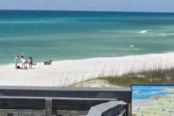 House sit in Destin, FL, US