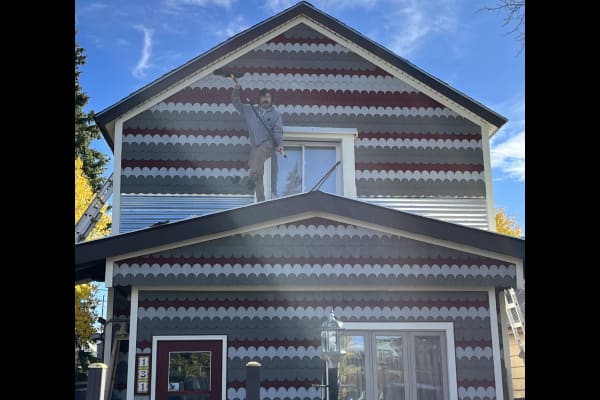 House sit in Leadville, CO, US