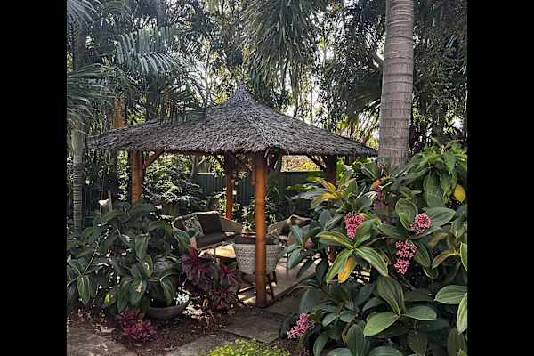 House sit in Brisbane, QLD, Australia