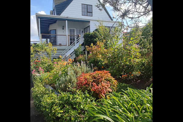 House sit in Snells Beach, New Zealand