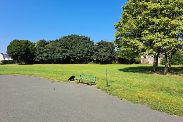House sit in Dublin, Ireland