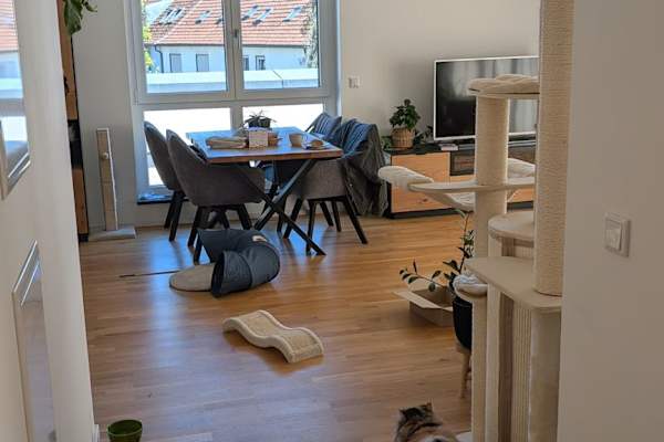 House sit in Nürnberg, Germany