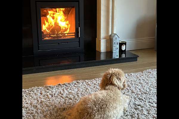 House sit in Slane, Ireland