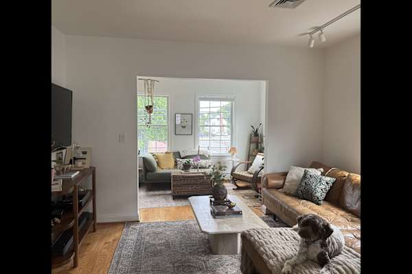 House sit in Boston, MA, US