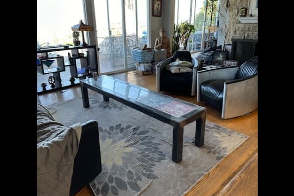 House sit in San Mateo, CA, US