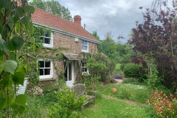 House sit in Wells, United Kingdom