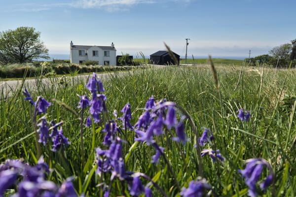 House sit in Uig, United Kingdom