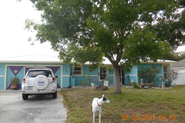 House sit in Punta Gorda, FL, US