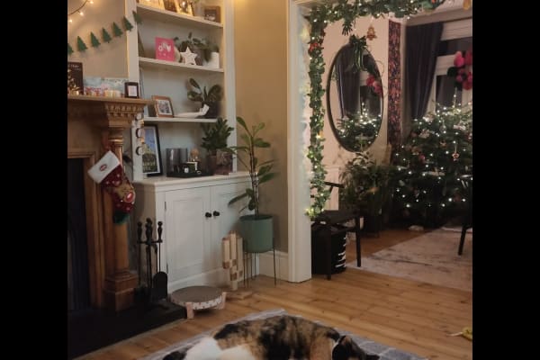 House sit in Watford, United Kingdom