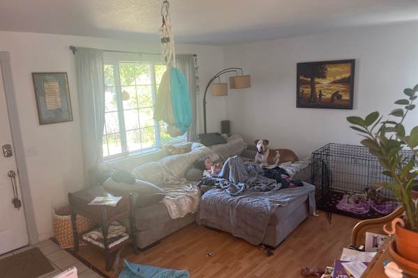 House sit in Port Orchard, WA, US