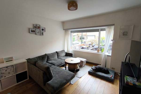 House sit in Hilversum, Netherlands