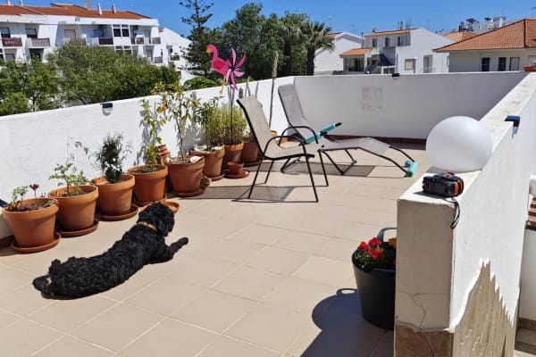 House sit in Faro, Portugal