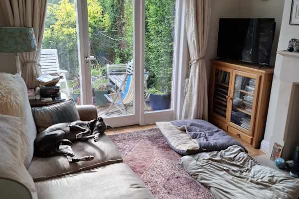 House sit in Manchester, United Kingdom