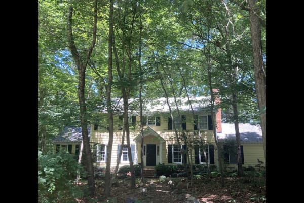 House sit in Carrboro, NC, US