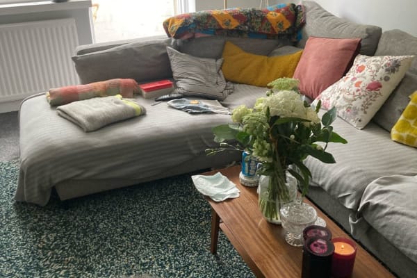 House sit in Islington, United Kingdom