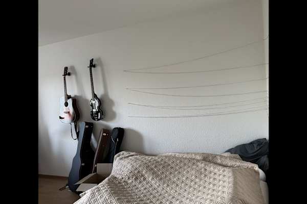 House sit in Düsseldorf, Germany