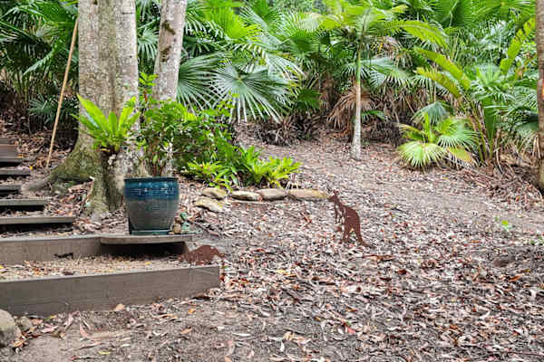 House sit in Central Coast, NSW, Australia