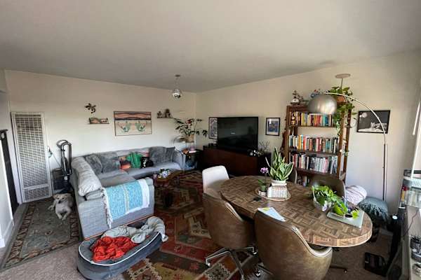 House sit in San Diego, CA, US