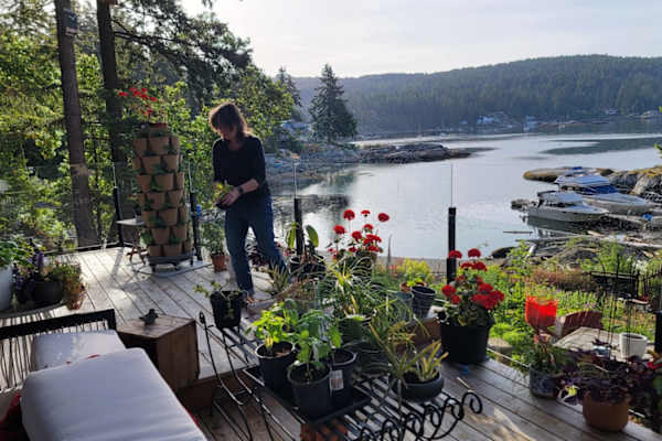 House sit in Halfmoon Bay, BC, Canada