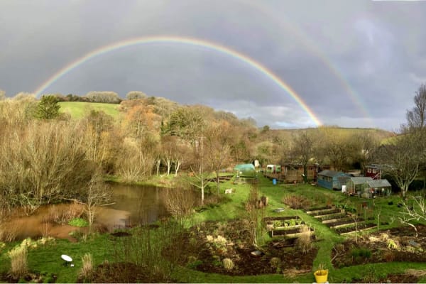 House sit in Kingsbridge, United Kingdom