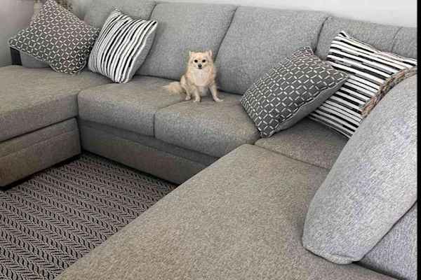 House sit in Hamilton, Bermuda