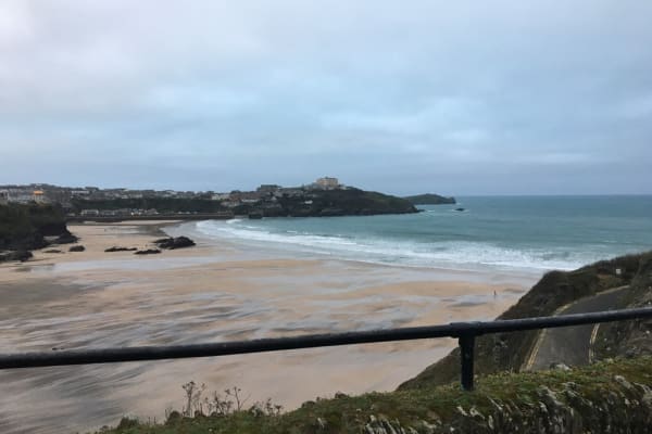 House sit in Newquay, United Kingdom