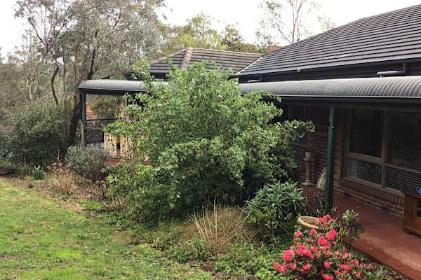House sit in Melbourne, VIC, Australia