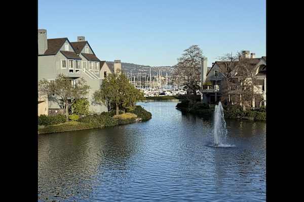 House sit in Alameda, CA, US