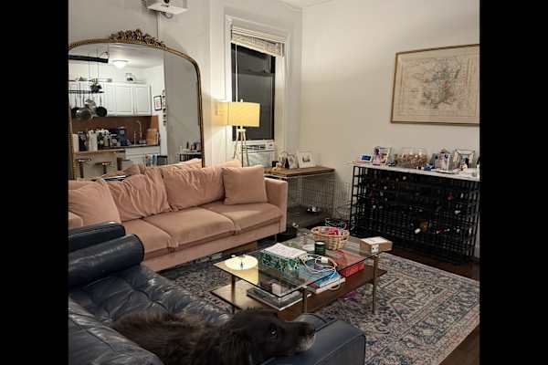 House sit in New York City, NY, US