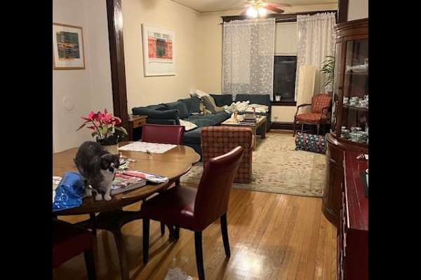 House sit in Chicago, IL, US