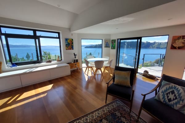 House sit in Wellington, New Zealand